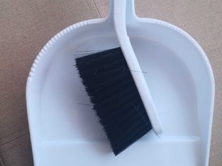Brush and dustpan