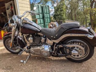 2019 Harley Davidson fat boy 96(FLSTE)