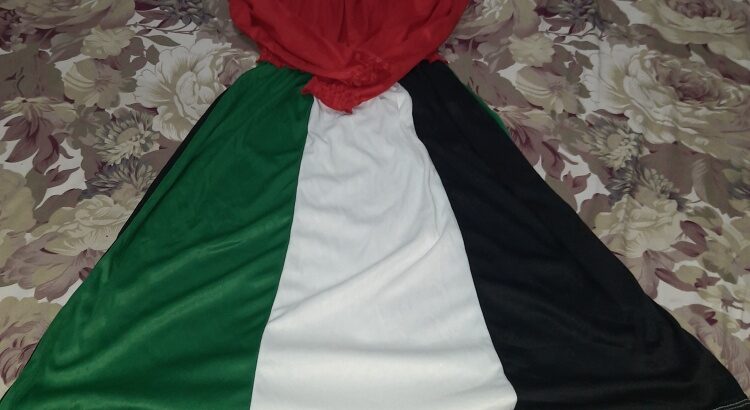 UAE Flag Design Dress