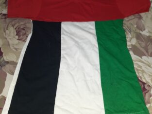U.A.E flag design t-shirt