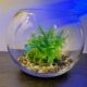 Fishbowl with 4 types of gravel